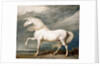 Adonis, King George III's Favourite Charger by James Ward