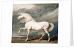 Adonis, King George III's Favourite Charger by James Ward