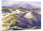 Verbena Clad Dunes by Fred Grayson Sayre