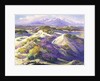 Verbena Clad Dunes by Fred Grayson Sayre