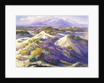 Verbena Clad Dunes by Fred Grayson Sayre