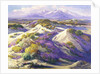 Verbena Clad Dunes by Fred Grayson Sayre
