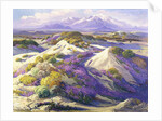 Verbena Clad Dunes by Fred Grayson Sayre