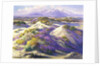 Verbena Clad Dunes by Fred Grayson Sayre