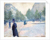 Place Saint Augustin, Misty Weather, 1878 by Gustave Caillebotte