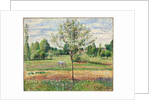 Meadow with Grey Horse, Eragny, 1893 by Camille Pissarro
