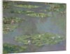 Water Lilies, 1905 by Claude Monet
