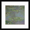 Water Lilies, 1905 by Claude Monet