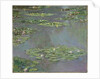 Water Lilies, 1905 by Claude Monet