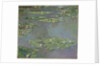 Water Lilies, 1905 by Claude Monet