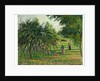 Apple Trees and Hay Makers at Eragny, 1895 by Camille Pissarro