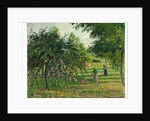 Apple Trees and Hay Makers at Eragny, 1895 by Camille Pissarro