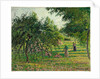Apple Trees and Hay Makers at Eragny, 1895 by Camille Pissarro