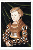 Portrait of Princess Margaret von Sachsen, small three-quarter length, wearing Court Dress by Lucas the Elder Cranach