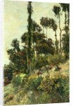 The Side of the Hill, 1884 by Paul Gauguin