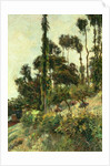 The Side of the Hill, 1884 by Paul Gauguin