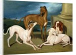 Whippets and a King Spaniel, 1837 by Edmund Jr Havell