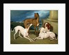 Whippets and a King Spaniel, 1837 by Edmund Jr Havell