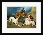 Whippets and a King Spaniel, 1837 by Edmund Jr Havell