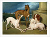Whippets and a King Spaniel, 1837 by Edmund Jr Havell