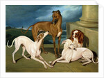 Whippets and a King Spaniel, 1837 by Edmund Jr Havell