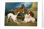 Whippets and a King Spaniel, 1837 by Edmund Jr Havell