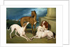 Whippets and a King Spaniel, 1837 by Edmund Jr Havell