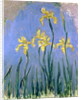 The Yellow Irises, c.1918-25 by Claude Monet