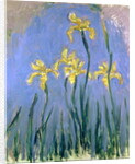 The Yellow Irises, c.1918-25 by Claude Monet