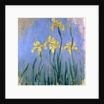 The Yellow Irises, c.1918-25 by Claude Monet