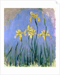 The Yellow Irises, c.1918-25 by Claude Monet