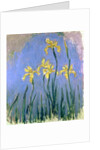 The Yellow Irises, c.1918-25 by Claude Monet