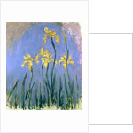 The Yellow Irises, c.1918-25 by Claude Monet