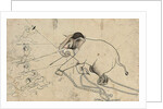 Isarda or kotah preparatory drawing of the taming of an elephant, c.1720 by Indian School