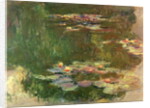 The Lily Pond, c.1917 by Claude Monet