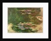 The Lily Pond, c.1917 by Claude Monet