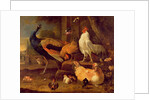 Poultry, c.1670 by Melchior de Hondecoeter
