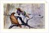 King bird of paradise, 1909 by Edward Adrian Wilson