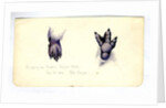 Two studies of the foot of an emperor penguin chick, 1901-04 by Edward Adrian Wilson