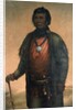 Portrait of Shabbona, Potawatomi Chief, 1859 by E. S. Webber