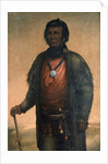 Portrait of Shabbona, Potawatomi Chief, 1859 by E. S. Webber
