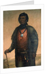 Portrait of Shabbona, Potawatomi Chief, 1859 by E. S. Webber