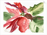 Poinsettia, 2003 by Claudia Hutchins-Puechavy
