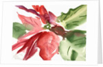 Poinsettia, 2003 by Claudia Hutchins-Puechavy