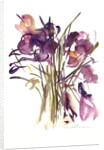 Crocus, 2003 by Claudia Hutchins-Puechavy