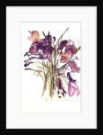 Crocus, 2003 by Claudia Hutchins-Puechavy