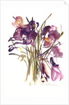Crocus, 2003 by Claudia Hutchins-Puechavy