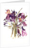 Crocus, 2003 by Claudia Hutchins-Puechavy