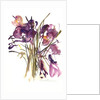 Crocus, 2003 by Claudia Hutchins-Puechavy