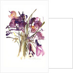 Crocus, 2003 by Claudia Hutchins-Puechavy